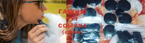 шишки Осташков