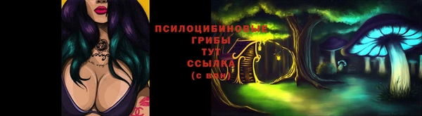 прущая мука Арсеньев