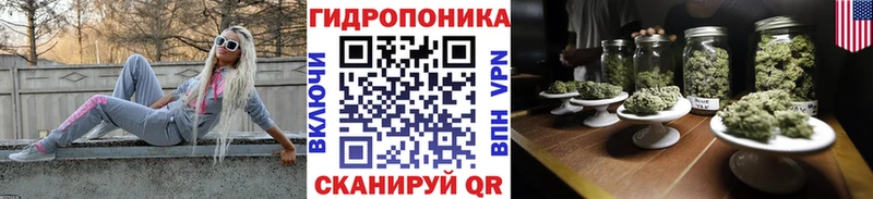 Бошки Шишки Amnesia Слободской